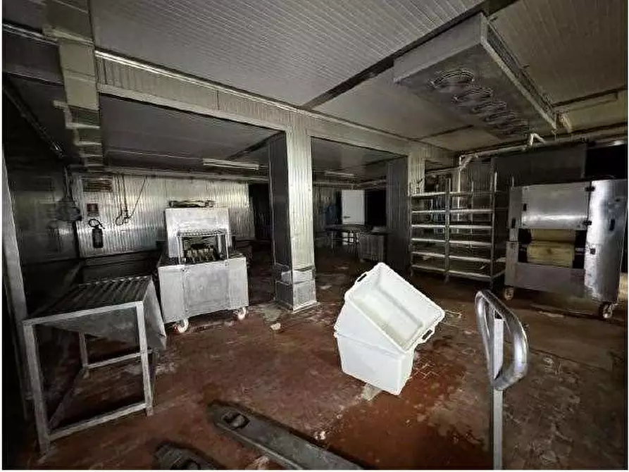 Immagine 34 di Capannone industriale in vendita  in Via Cicogna 5 a Roveredo Di Gua'