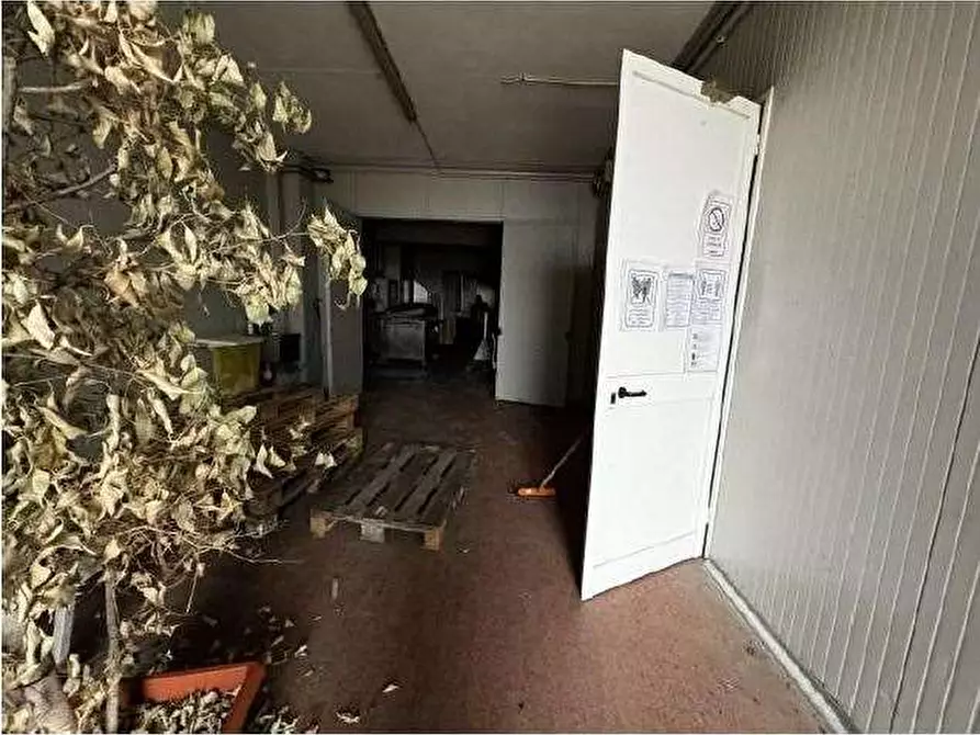Immagine 24 di Capannone industriale in vendita  in Via Cicogna 5 a Roveredo Di Gua'