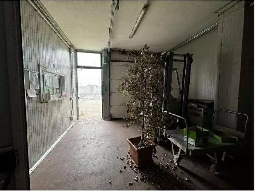 Immagine 22 di Capannone industriale in vendita  in Via Cicogna 5 a Roveredo Di Gua'