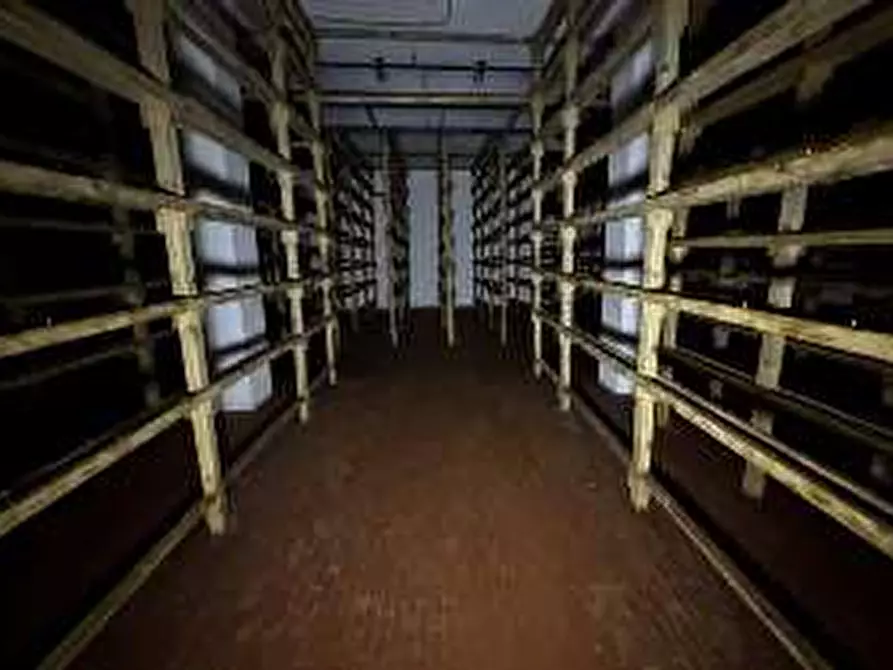 Immagine 66 di Capannone industriale in vendita  in Via Cicogna 5 a Roveredo Di Gua'