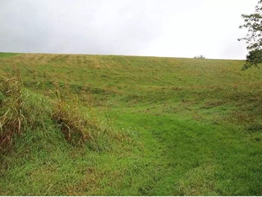 Immagine 10 di Magazzino in vendita  in Contrada Barco snc a Roverè Veronese