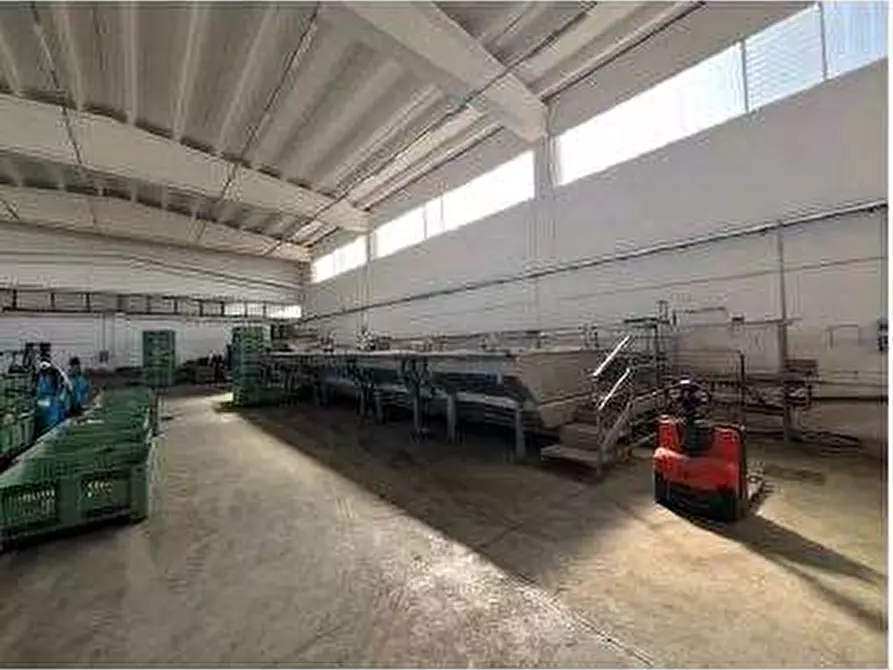 Immagine 7 di Capannone industriale in vendita  in Via Afra Decò 22 a Villafranca Di Verona