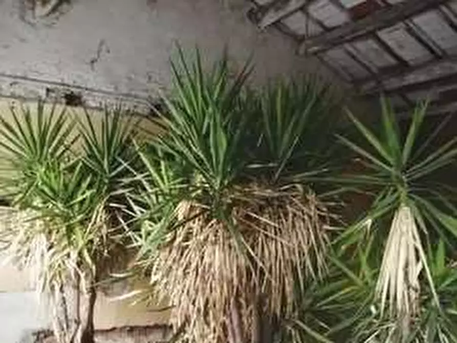 Immagine 22 di Porzione di casa in vendita  in Via Ca' Rotte  11 a Cerea