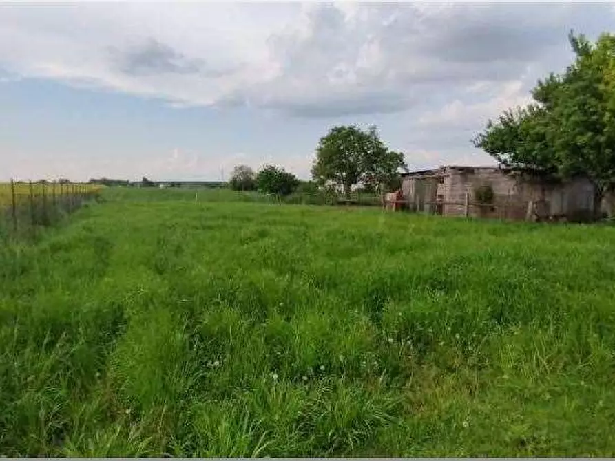 Immagine 25 di Porzione di casa in vendita  in Via Spin  14 a Nogara