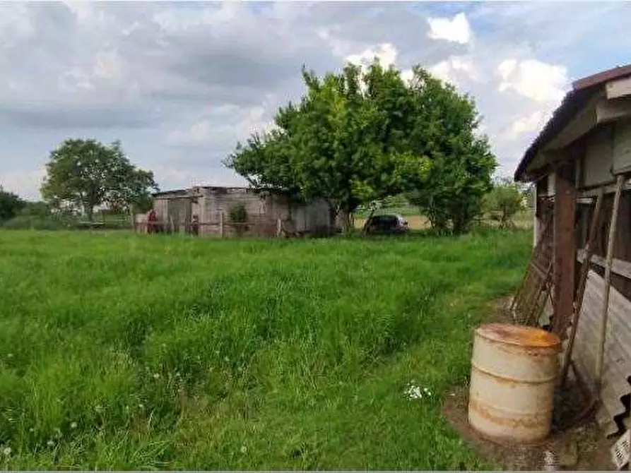 Immagine 26 di Porzione di casa in vendita  in Via Spin  14 a Nogara