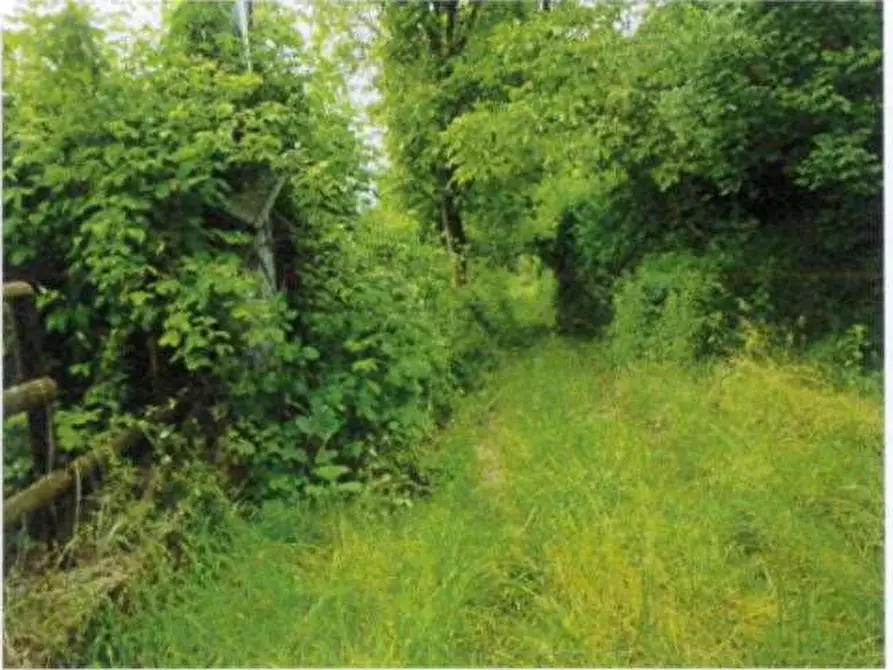 Immagine 10 di Porzione di casa in vendita  in Località Burgagnani a Badia Calavena