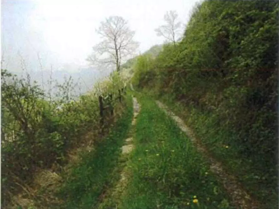 Immagine 42 di Porzione di casa in vendita  in Località Burgagnani a Badia Calavena