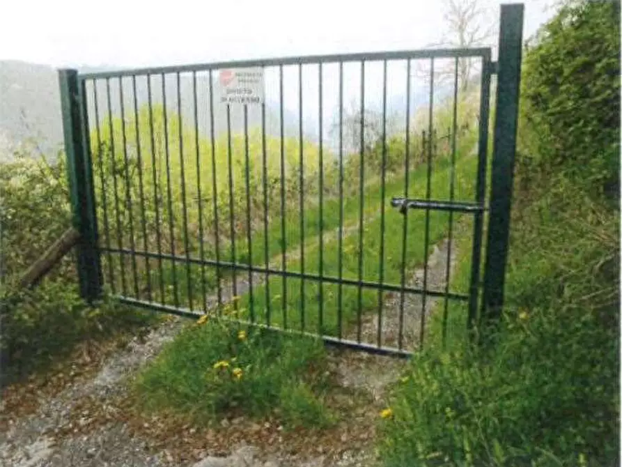 Immagine 43 di Porzione di casa in vendita  in Località Burgagnani a Badia Calavena