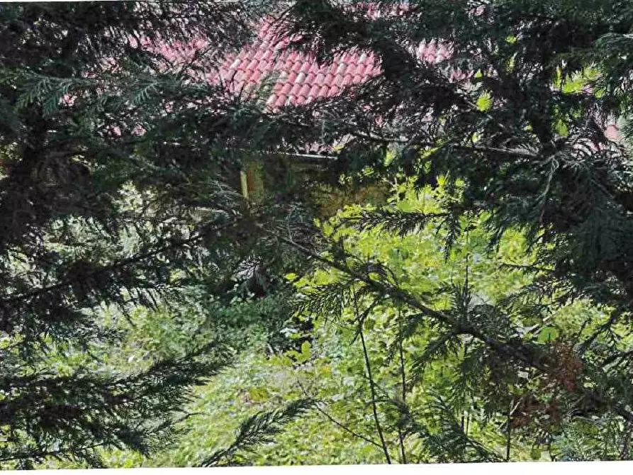 Immagine 7 di Porzione di casa in vendita  in Località Burgagnani snc a Badia Calavena