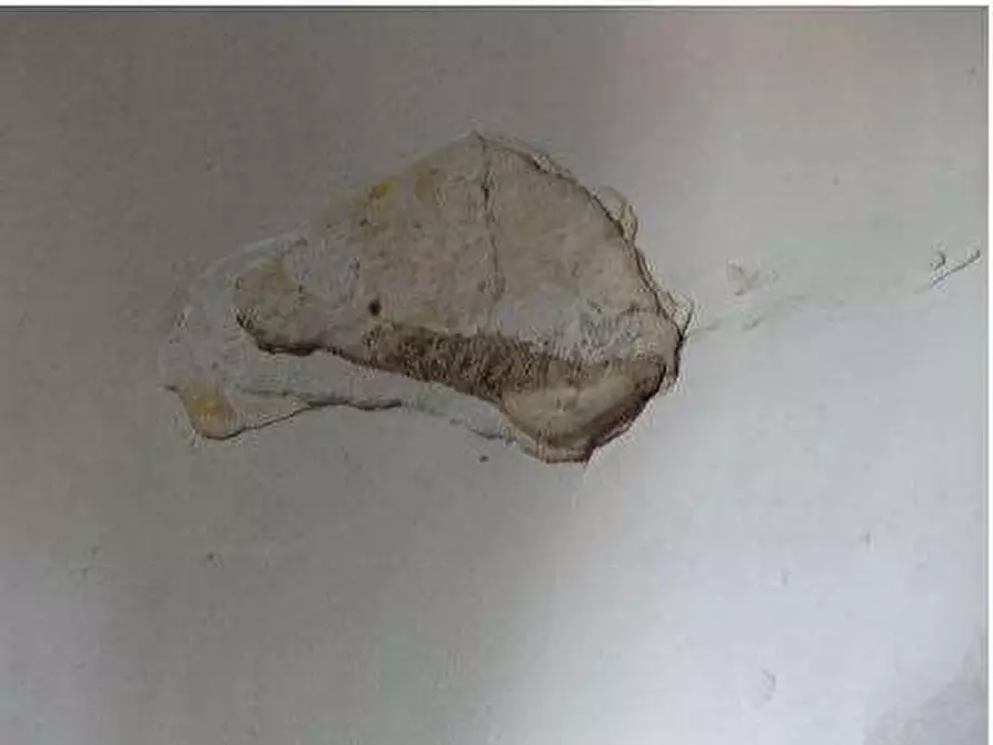 Immagine 35 di Porzione di casa in vendita  in Via San Giovanni Di Dio 1 a Mezzane Di Sotto