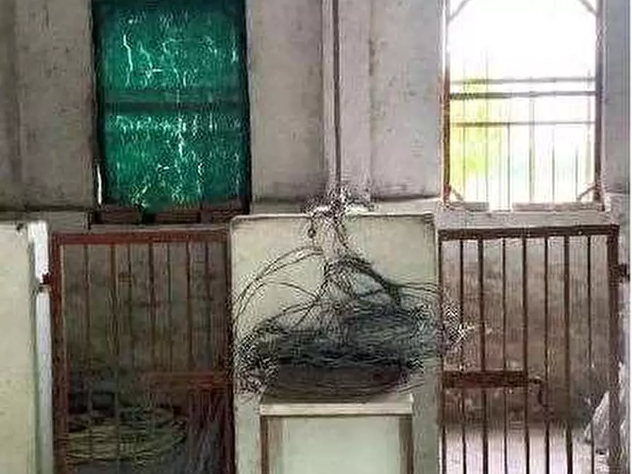 Immagine 33 di Porzione di casa in vendita  in Via Capitello 622 a Castagnaro