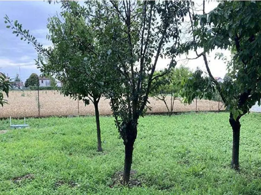 Immagine 73 di Porzione di casa in vendita  in Via Capitello 622 a Castagnaro