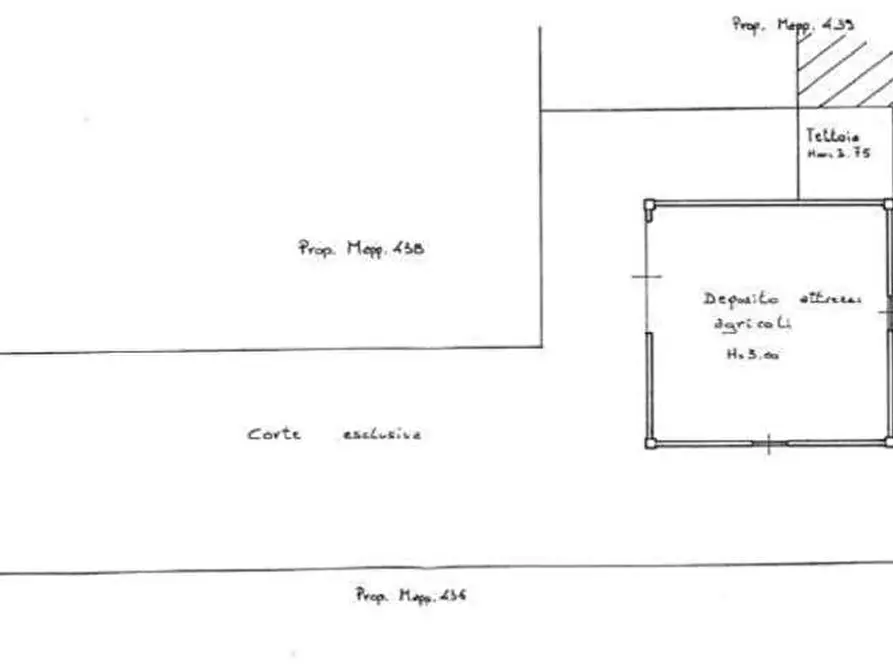 Immagine 34 di Porzione di casa in vendita  in Via Alpone 16 a Buttapietra