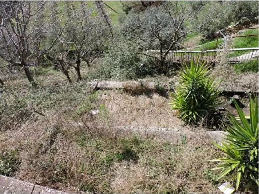 Immagine 30 di Villa in vendita  in Via Palazzin 5 a Negrar di Valpolicella