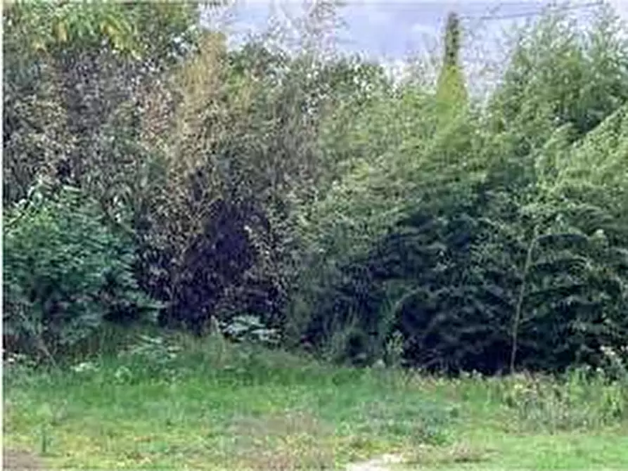 Immagine 23 di Porzione di casa in vendita  in Via Madonnina di Prabiano 11 a Villafranca Di Verona