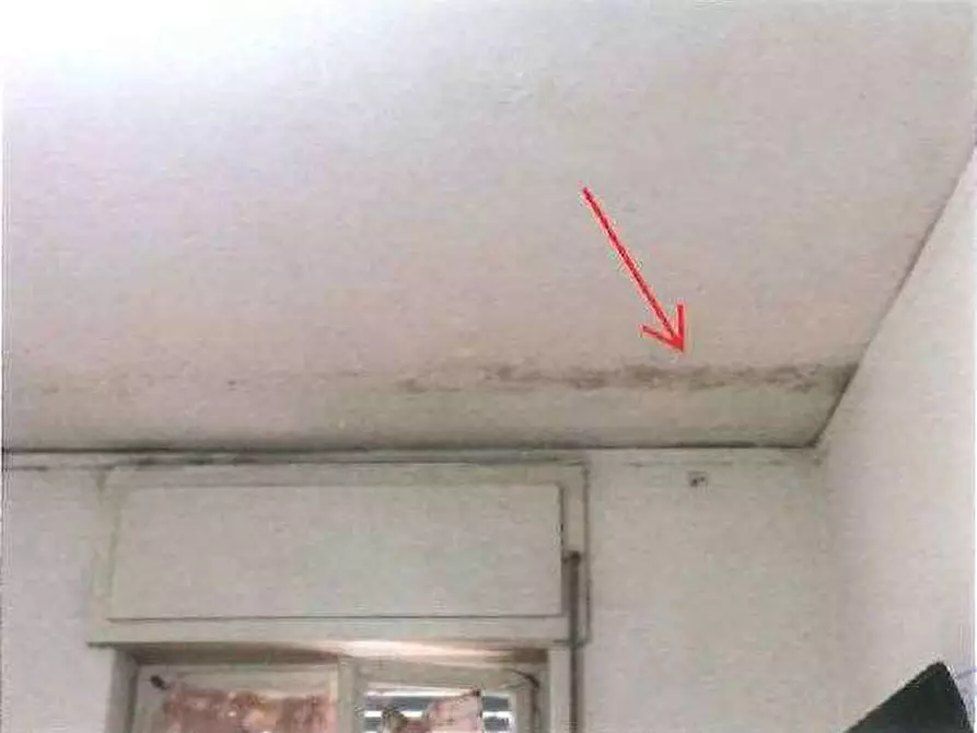 Immagine 49 di Appartamento in vendita  in Via Adriano Cristofoli 13 a Verona