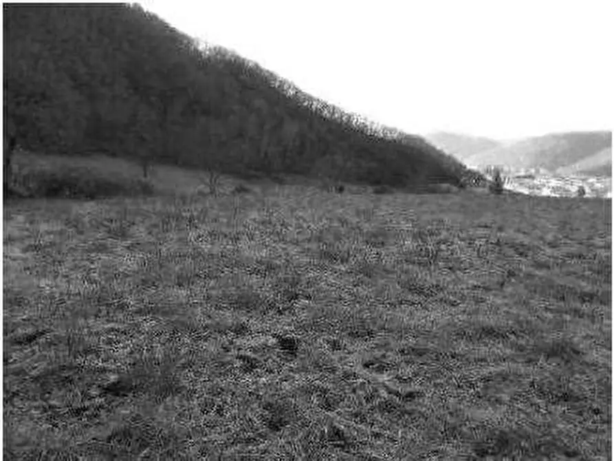 Immagine 17 di Porzione di casa in vendita  in Contrada Vanti 1 a Badia Calavena