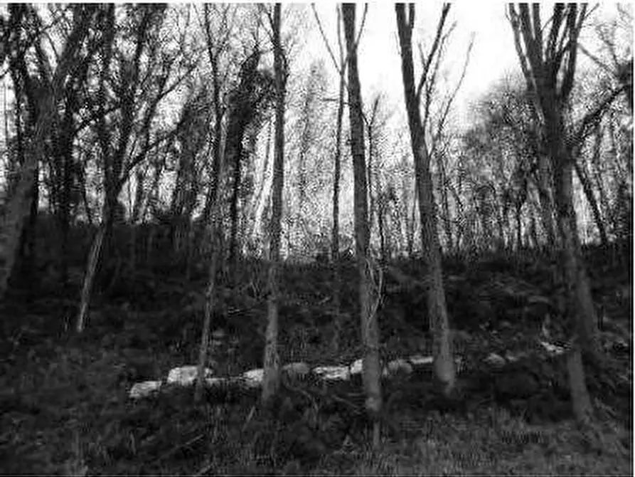 Immagine 19 di Porzione di casa in vendita  in Contrada Vanti 1 a Badia Calavena