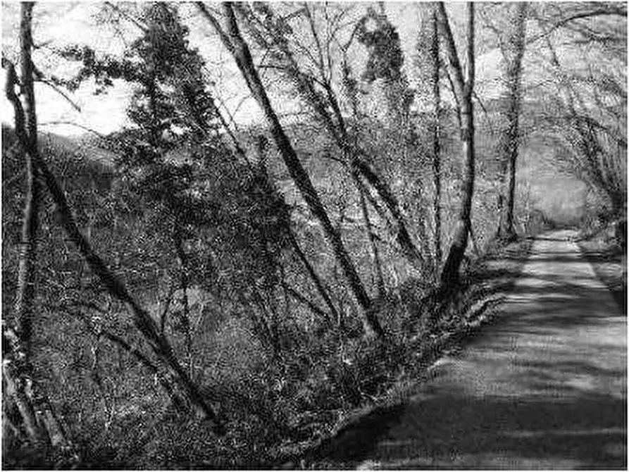 Immagine 22 di Porzione di casa in vendita  in Contrada Vanti 1 a Badia Calavena