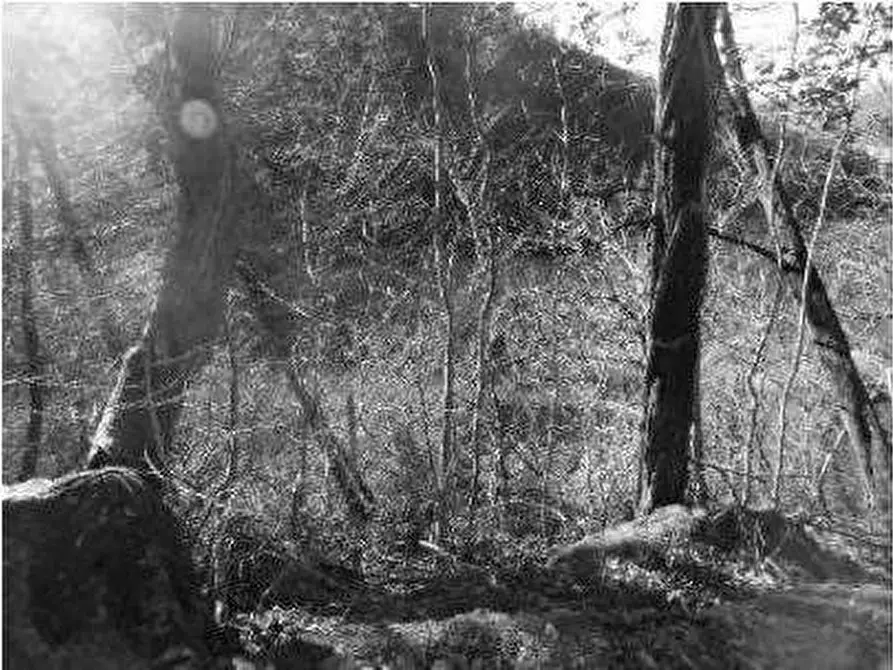 Immagine 23 di Porzione di casa in vendita  in Contrada Vanti 1 a Badia Calavena