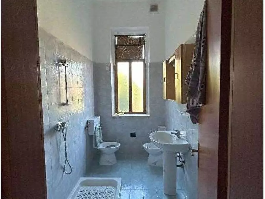 Immagine 10 di Appartamento in vendita  in Via Spessa  14 a Cologna Veneta