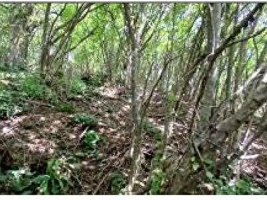 Immagine 4 di Villa in vendita  in Via Generale Graziani 1 a Ferrara Di Monte Baldo