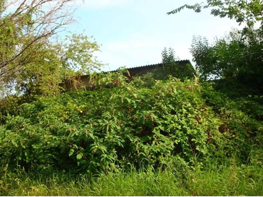 Immagine 28 di Appartamento in vendita  in Via Belle Arti 113 a Cerea