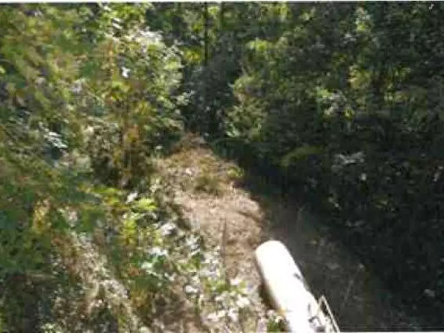 Immagine 25 di Porzione di casa in vendita  in Via Roma 22 a Bosco Chiesanuova