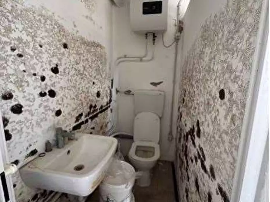 Immagine 38 di Porzione di casa in vendita  in Via Monte Baldo  10 a Lavagno