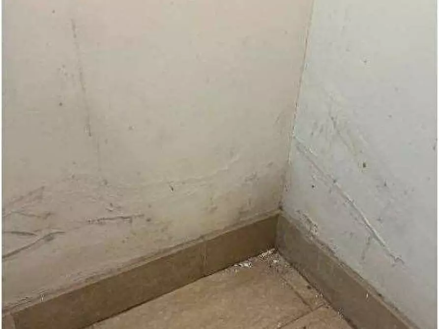 Immagine 26 di Appartamento in vendita  in Via Baruchello 15 a Buttapietra