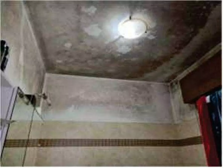 Immagine 8 di Appartamento in vendita  in Via Tregnon 18 a Nogara