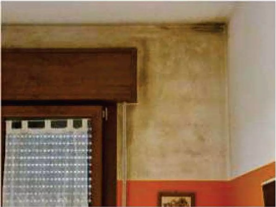 Immagine 9 di Appartamento in vendita  in Via Tregnon 18 a Nogara