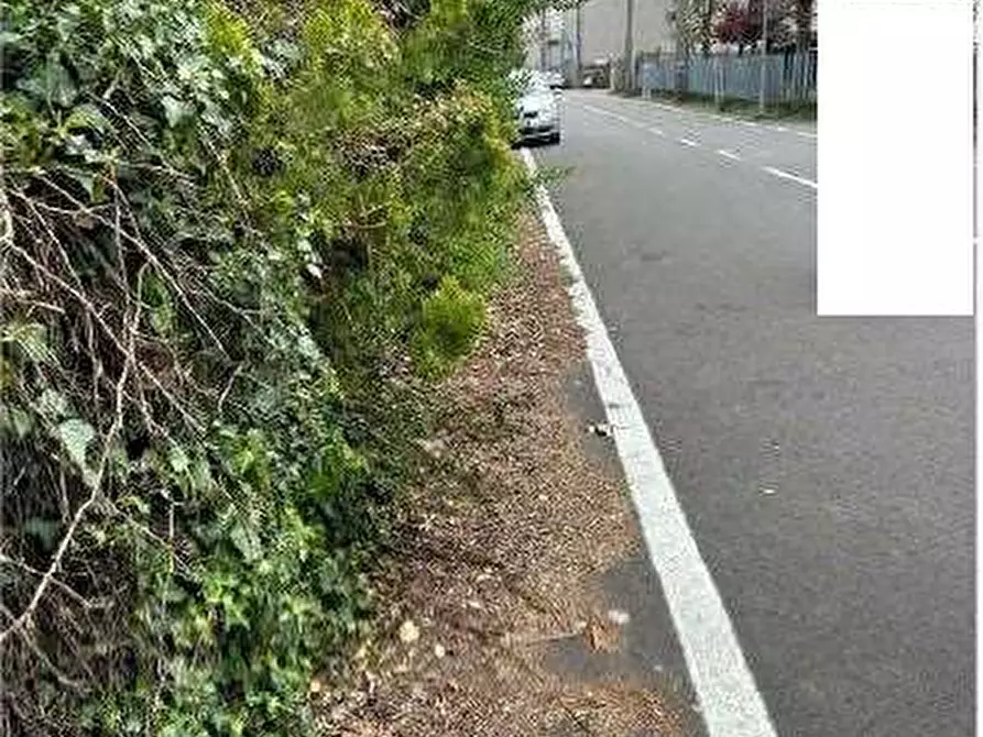 Immagine 3 di Porzione di casa in vendita  in Via Piave  334 a Angiari