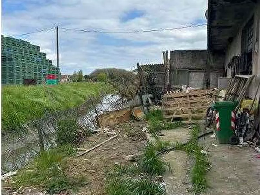 Immagine 7 di Porzione di casa in vendita  in Via Piave  334 a Angiari
