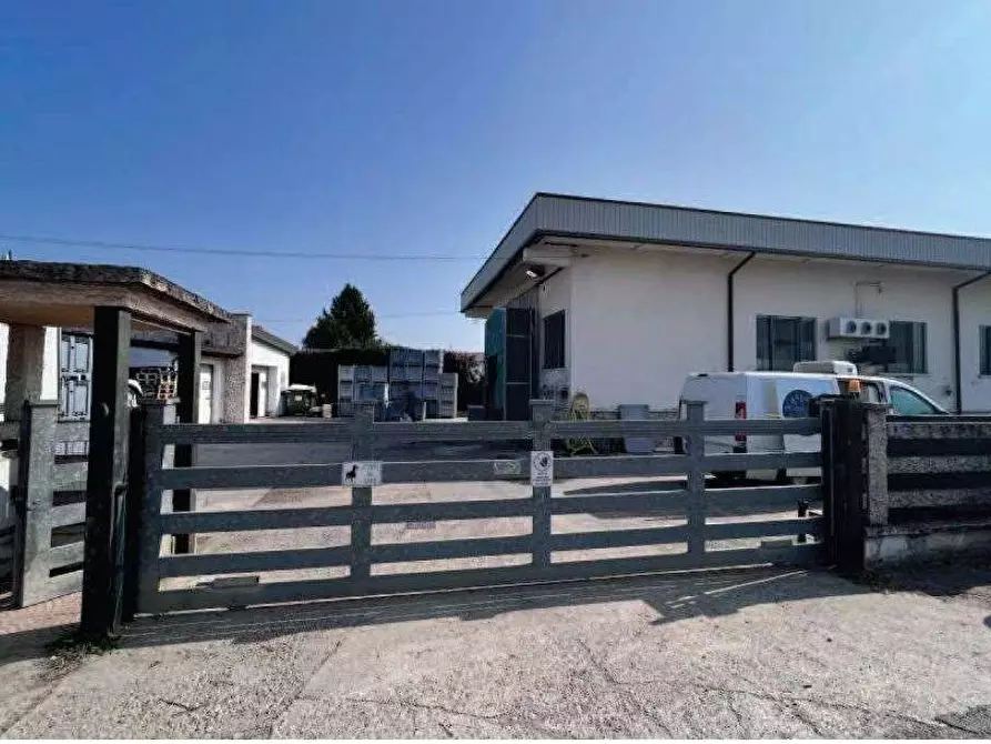 Immagine 1 di Laboratorio in vendita  in Via Riccadonna  1 a Zevio