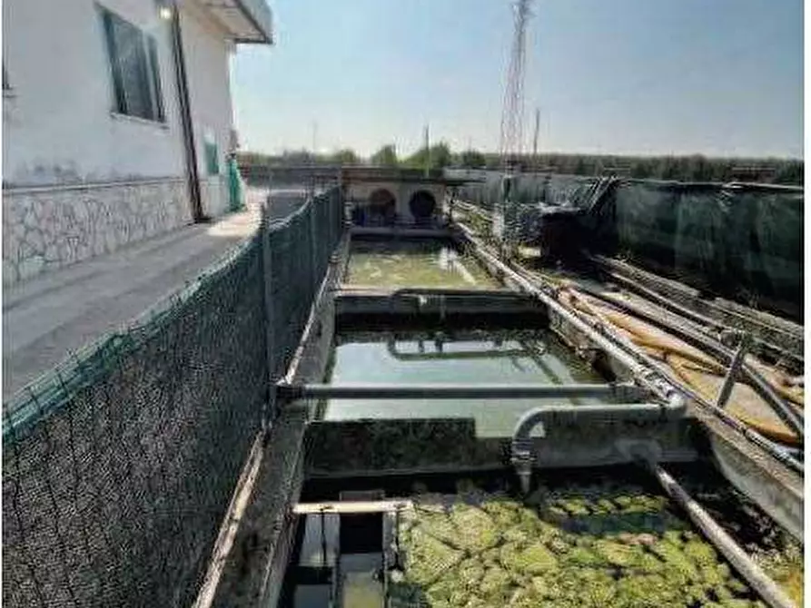 Immagine 10 di Laboratorio in vendita  in Via Riccadonna  1 a Zevio