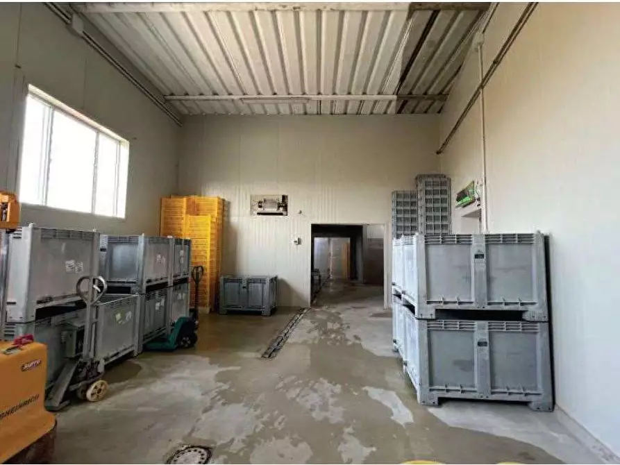 Immagine 31 di Laboratorio in vendita  in Via Riccadonna  1 a Zevio