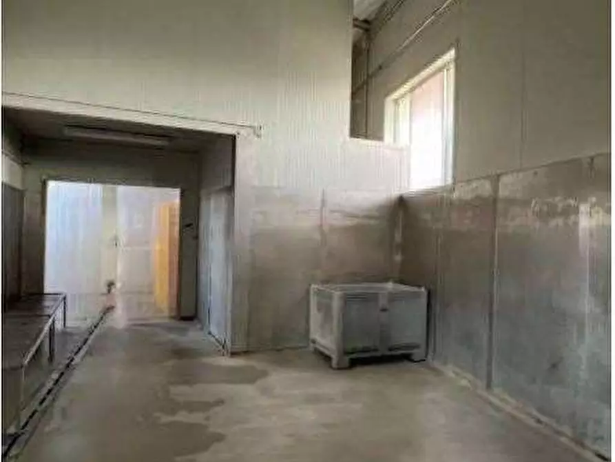 Immagine 33 di Laboratorio in vendita  in Via Riccadonna  1 a Zevio