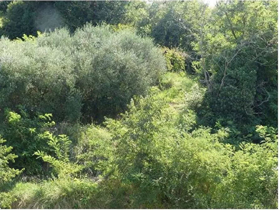 Immagine 76 di Porzione di casa in vendita  in Via della Fontana 6 a Monteforte D'alpone