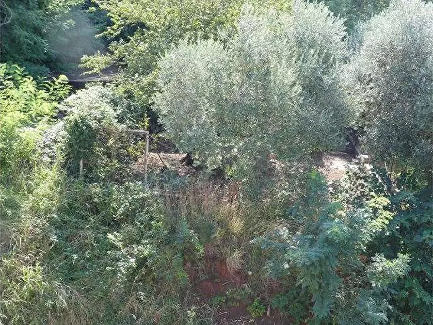 Immagine 75 di Porzione di casa in vendita  in Via della Fontana 6 a Monteforte D'alpone