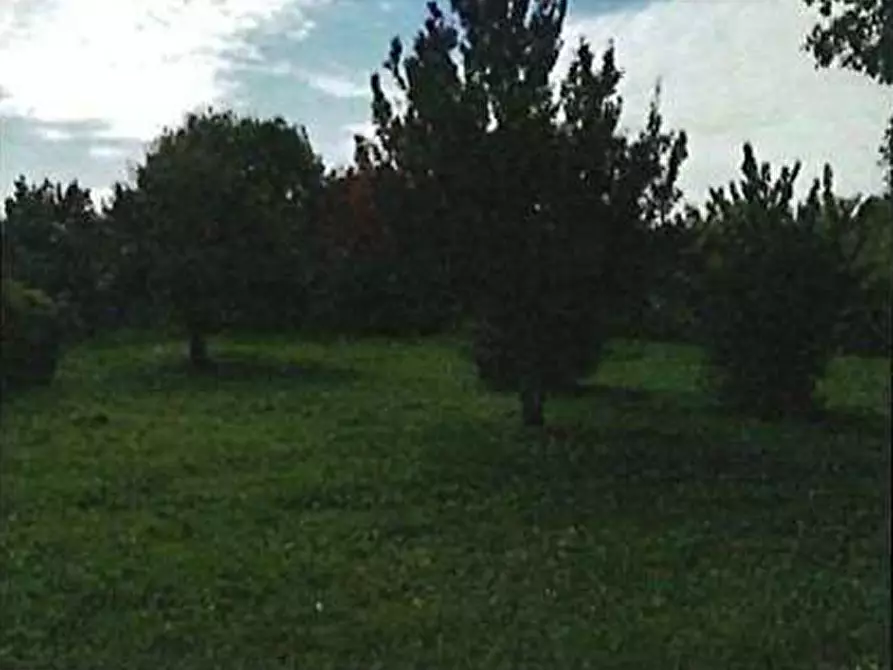 Immagine 5 di Appartamento in vendita  in Via Laghetto Squarà 15/a - 17 a Verona