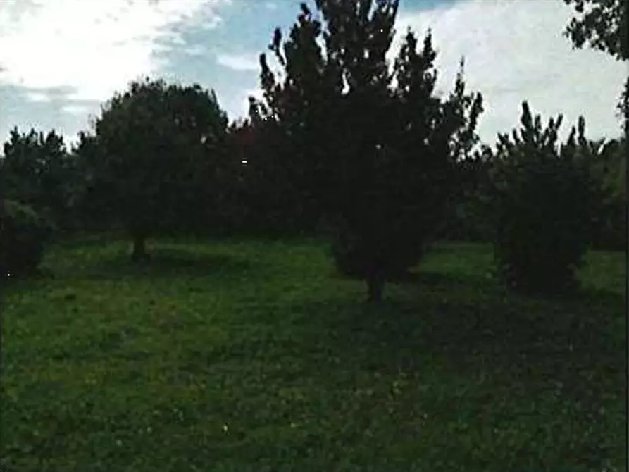 Immagine 49 di Appartamento in vendita  in Via Laghetto Squarà 15/a - 17 a Verona