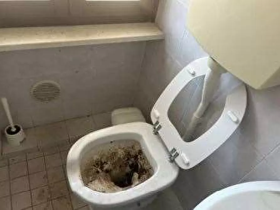 Immagine 10 di Negozio in vendita  in Via magellano 12/E a Negrar di Valpolicella