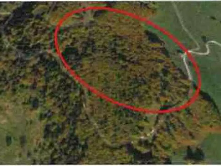 Immagine 30 di Porzione di casa in vendita  in Via Roma 22 a Bosco Chiesanuova