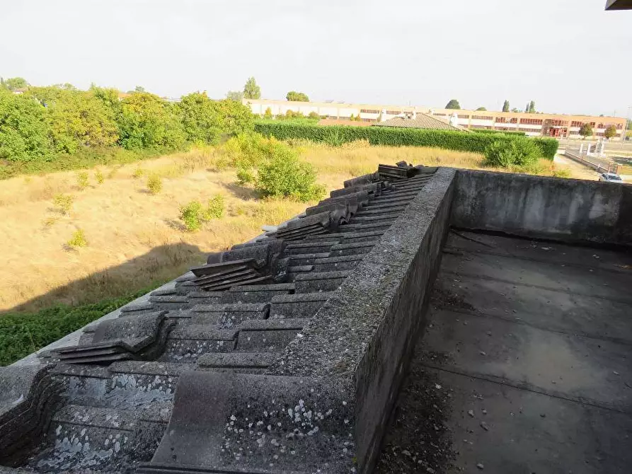 Immagine 40 di Villa in vendita  in Via Ca De Micheli 19 a Sanguinetto