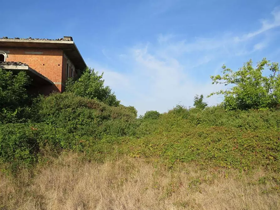 Immagine 12 di Villa in vendita  in Via Ca De Micheli 19 a Sanguinetto