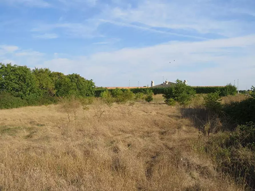 Immagine 7 di Villa in vendita  in Via Ca De Micheli 19 a Sanguinetto