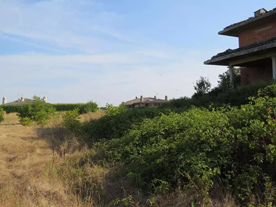 Immagine 6 di Villa in vendita  in Via Ca De Micheli 19 a Sanguinetto