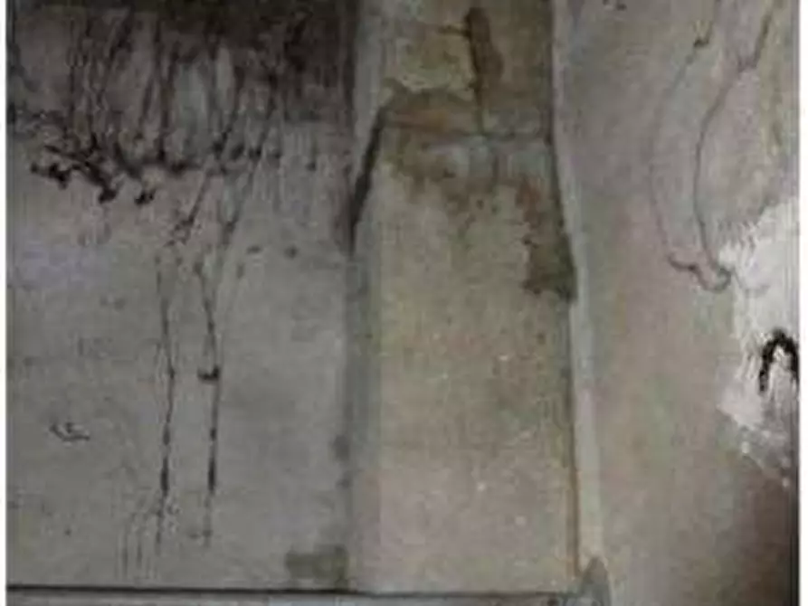 Immagine 13 di Appartamento in vendita  in Calatafimi 41/A a Cerea