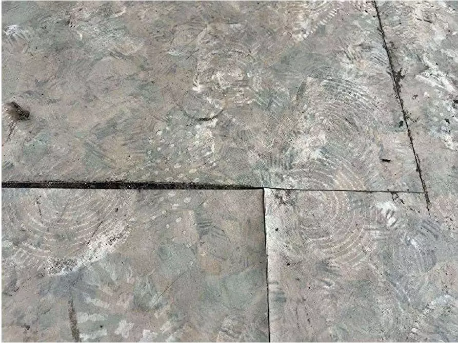 Immagine 8 di Negozio in vendita  in Cefalonia 9 a Verona